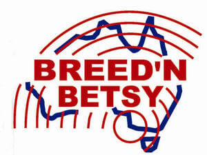 Breed n Betsy Logo